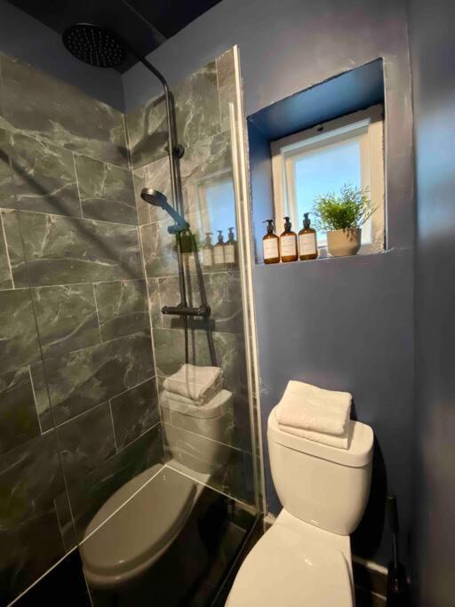 Appartement Stylish For 3 Near Regents Park N4 Londres
